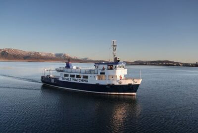 From Reykjavik: New Years Fireworks by Boat