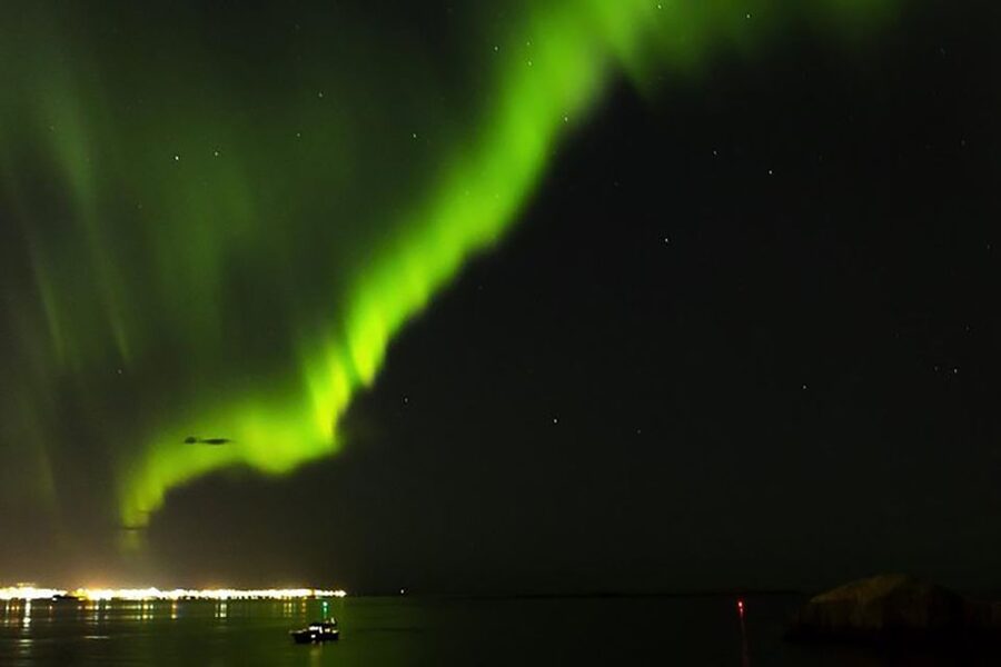 From Reykjavik: New Years Fireworks by Boat - The midnight toast and fireworks