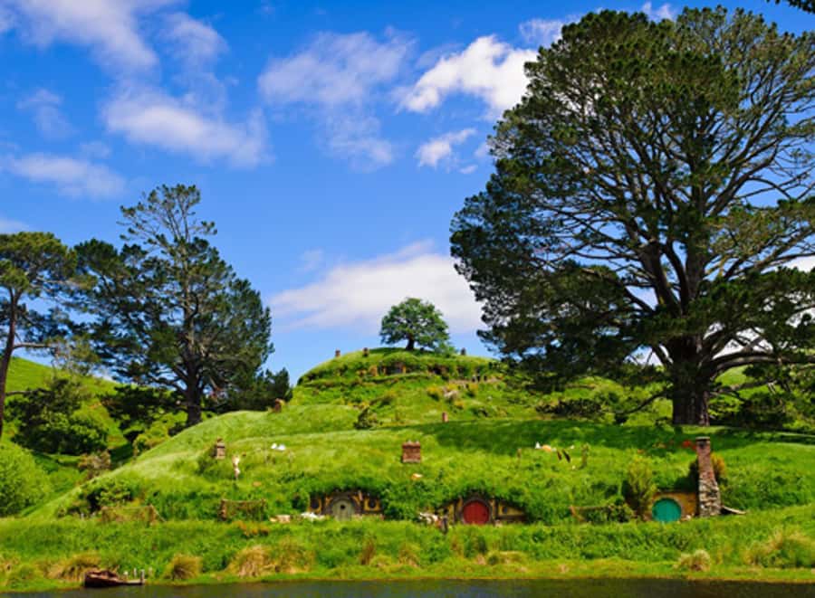 From Rotorua: Hobbiton Movie Set Tour with Festive Lunch - Hobbit holes, flower beds, and remarkable small details