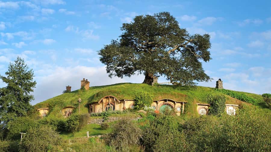 From Rotorua: Hobbiton Movie Set Tour with Festive Lunch - Is $182 a fair price?