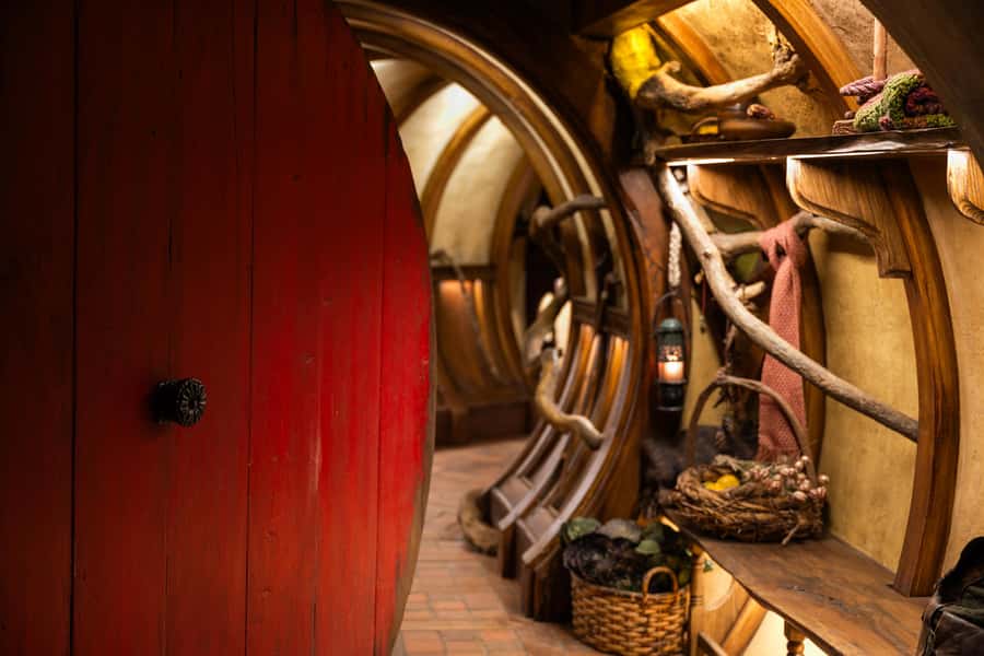 From Rotorua: Hobbiton Movie Set Tour with Festive Lunch - Timing, groups, and practical comfort