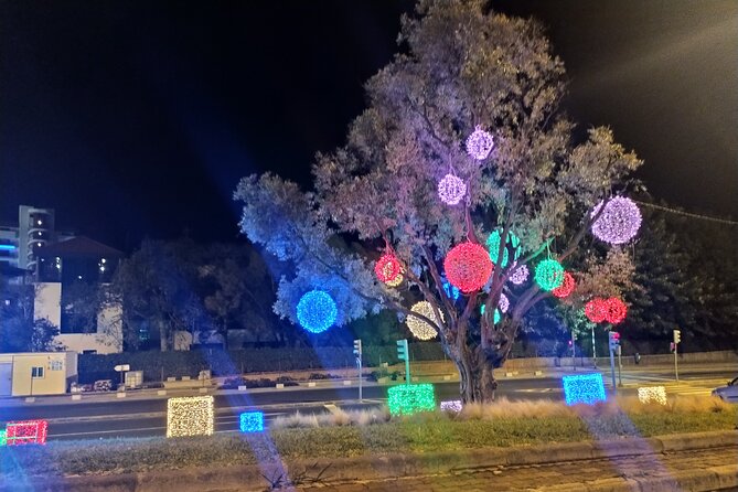 Funchal Christmas lights sightseeing night tour - Why Funchal Christmas lights are worth seeing by car