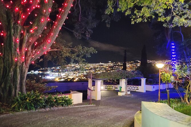 Funchal Christmas lights sightseeing night tour - Pickup, private format, and mobility