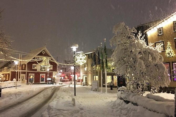 Iceland's Christmas Myths and Traditions - Reykjavík walking tour - The guide can make or break a story-led walk