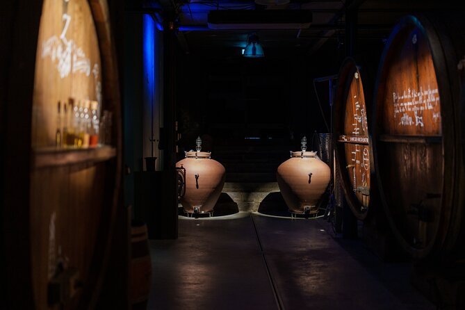 Immersive Christmas cellar visit and Alsace wine tasting - Is $22.80 a fair price?
