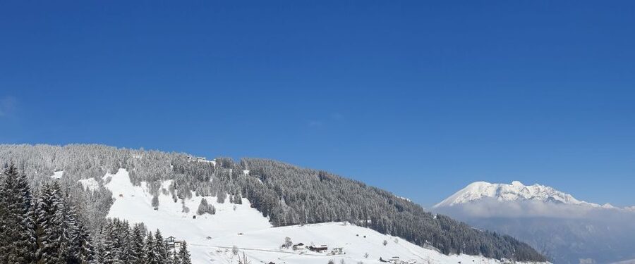 Innsbruck: Christmas Tour with a licensed guide - Nativity Scenes and Tyrolean Christmas Traditions