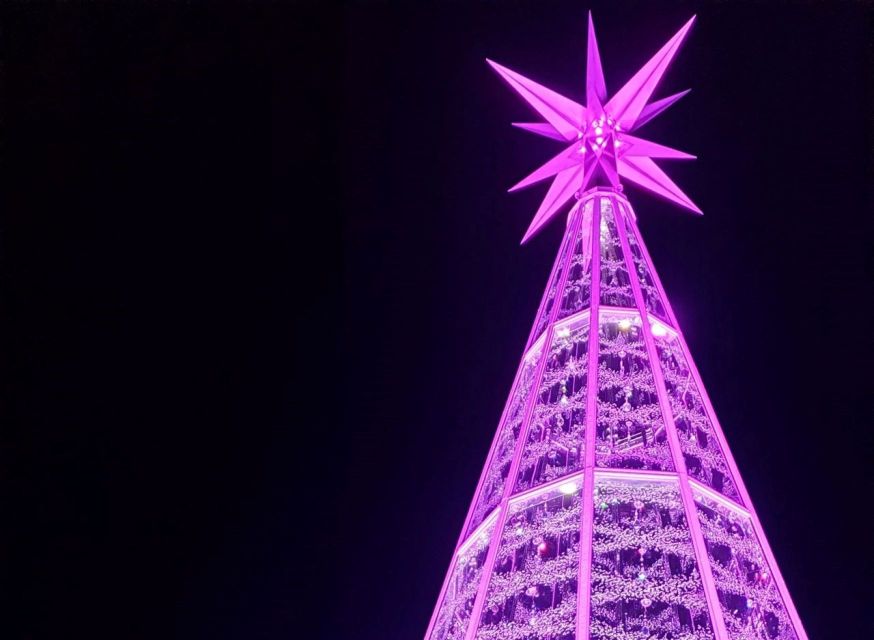 Innsbruck: Christmas Tour with a licensed guide - Maria-Theresien-Straße and Its Modern Lights