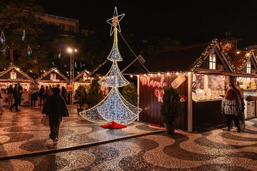 Lisbon: Christmas Flexible Walking Tour - Who should choose this tour?