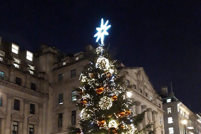 London Bespoke Black Cab Christmas Lights & Sights Private Tour - Harrods Brings the Big Department Store Moment