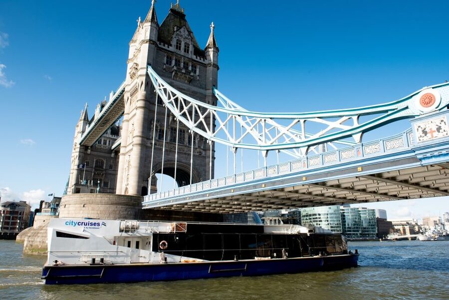 London: Christmas Day Sightseeing Cruise - From Westminster to Tower Bridge
