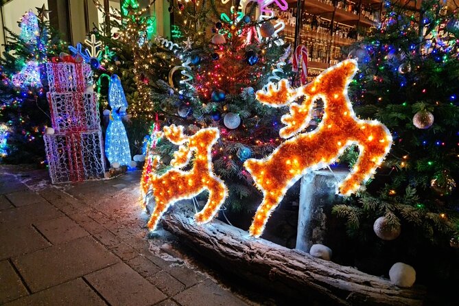 London Christmas Lights Bike Tour with Local Guide - Safety, traffic, and the real difficulty level