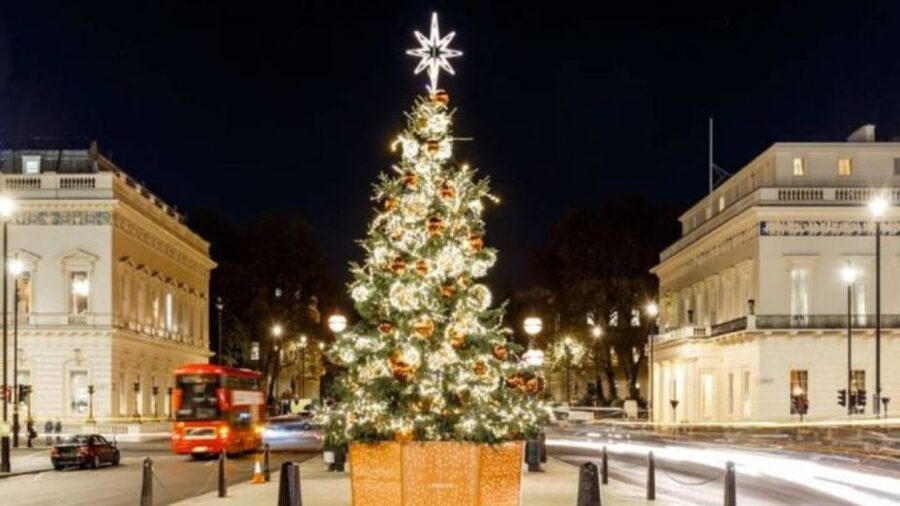 London: Christmas Lights Tour, Mince Pies, & Festive Drinks - Key points at a glance
