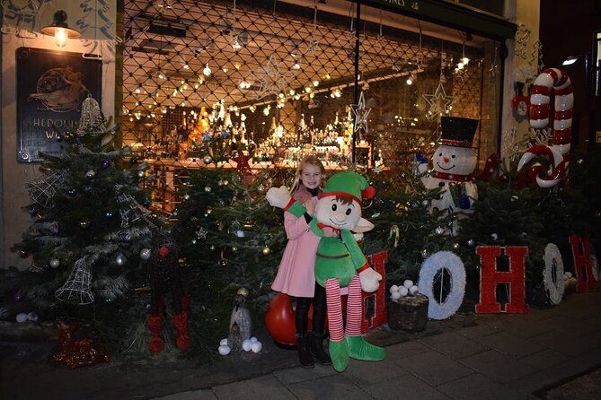 London Private Christmas Lights Taxi Tour with Pick Up - The driver can make or break the evening