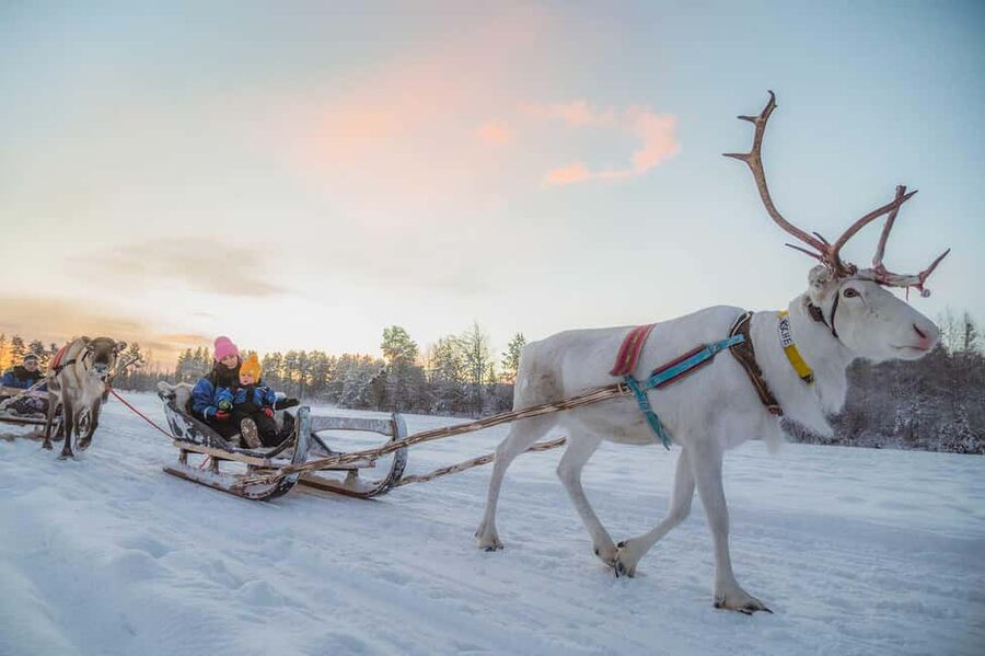Magical Private Santa Visit, Reindeer Ride & Elf Workshops - Why Apukka’s private setting changes the experience