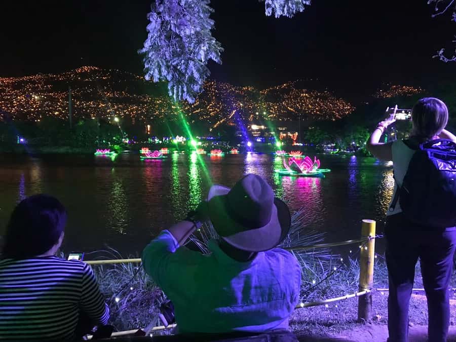 Medellin Christmas Lights Tour - The essential details at a glance