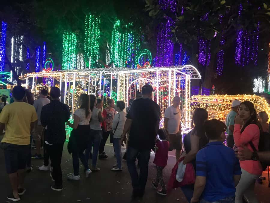 Medellin Christmas Lights Tour - Why Medellín’s Christmas lights matter