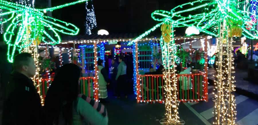 Medellin Christmas Lights Tour - The guide can shape the evening