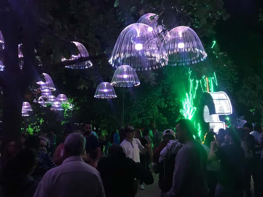 Medellin Christmas Lights Tour - Who will enjoy this Christmas lights tour?