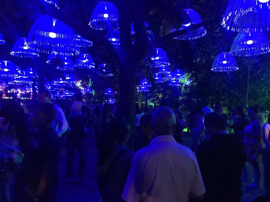 Medellin Christmas Lights Tour - Practical ways to get more from the evening