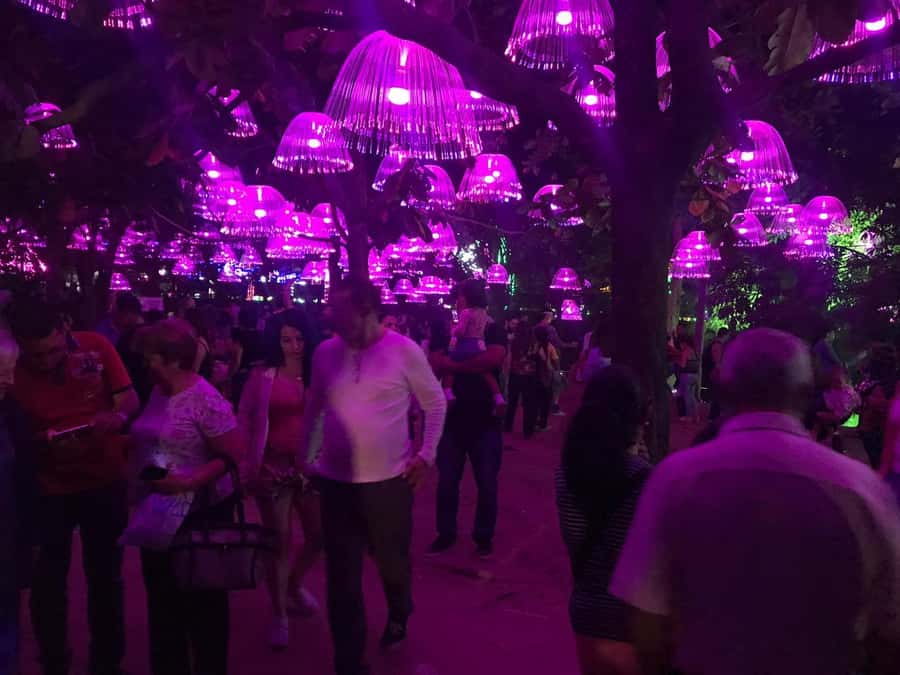 Medellin Christmas Lights Tour - Starting in El Poblado with a private car