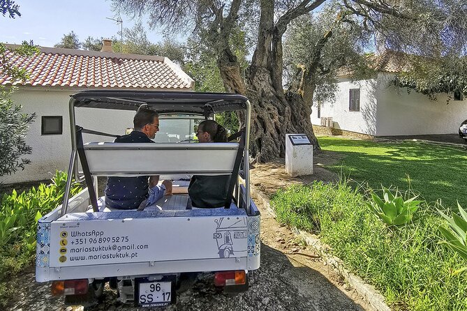 Meet Santa Luzia / Capital do Polvo / Salinas in a 100% electric Tuk Tuk - Why this is a useful introduction to Tavira