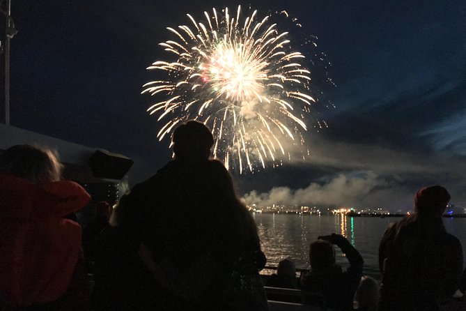 New Year's Eve Fireworks Cruise in Reykjavik - Is $183.84 a fair price?