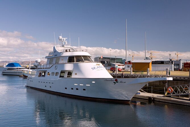 New Year's Eve Reykjavík Cruise - Who should book this Reykjavík cruise?