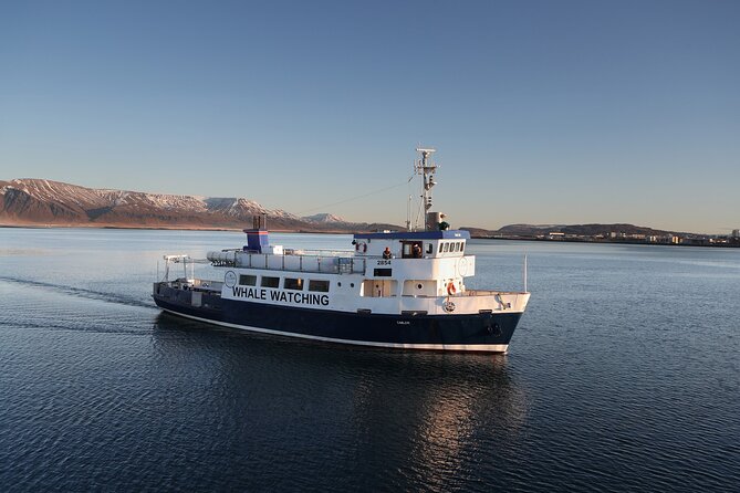 New Years Fireworks by Boat from Reykjavik - Who will enjoy this boat trip most?