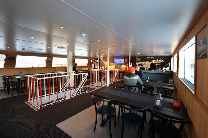 New Years Fireworks by Boat from Reykjavik - Booking, weather, and cancellation details