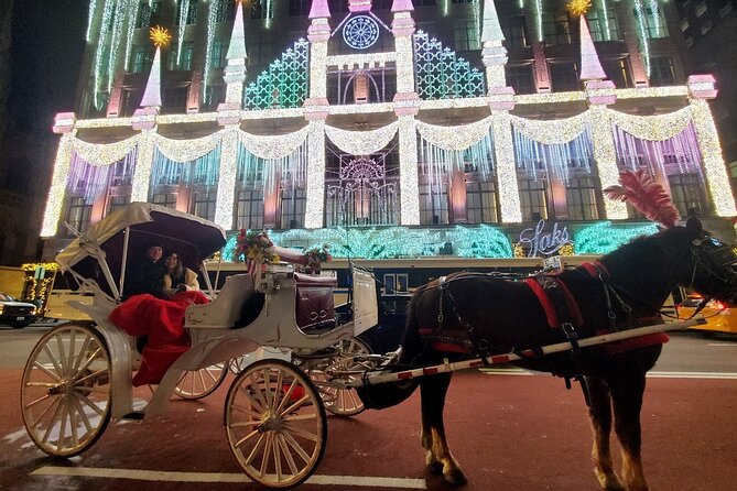 New York City Christmas Lights Private Horse Carriage Ride - Key points to know before booking