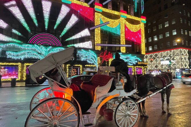 New York City Christmas Lights Private Horse Carriage Ride - Starting beside Central Park at 7th Avenue