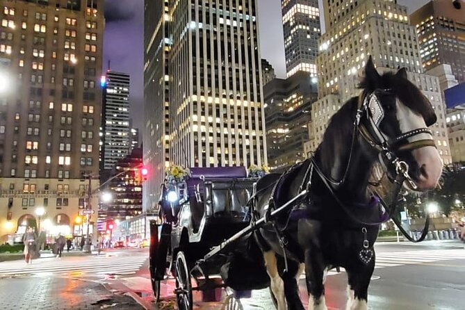 New York City Christmas Lights Private Horse Carriage Ride - Rockefeller Center and the Christmas Tree