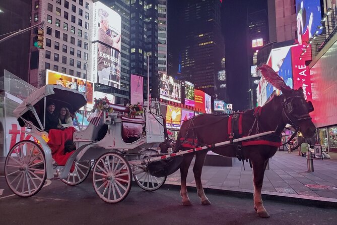 New York City Christmas Lights Private Horse Carriage Ride - The Saks Fifth Avenue light show