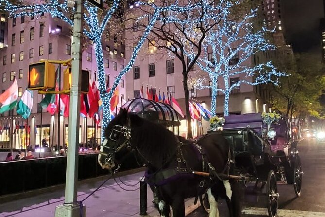New York City Christmas Lights Private Horse Carriage Ride - The horse, the carriage, and the winter comfort