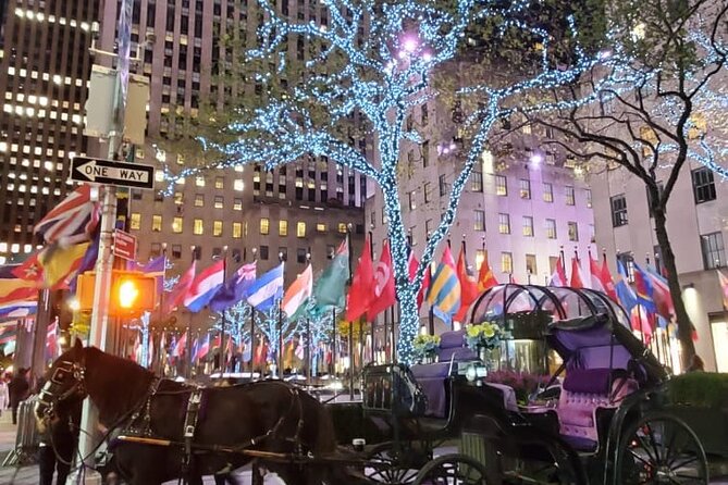 New York City Christmas Lights Private Horse Carriage Ride - How the private format changes the experience