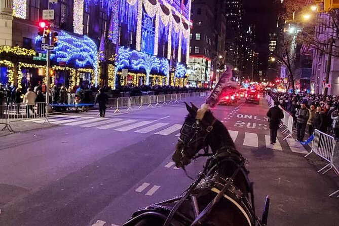 New York City Christmas Lights Private Horse Carriage Ride - Is $220 good value for your group?