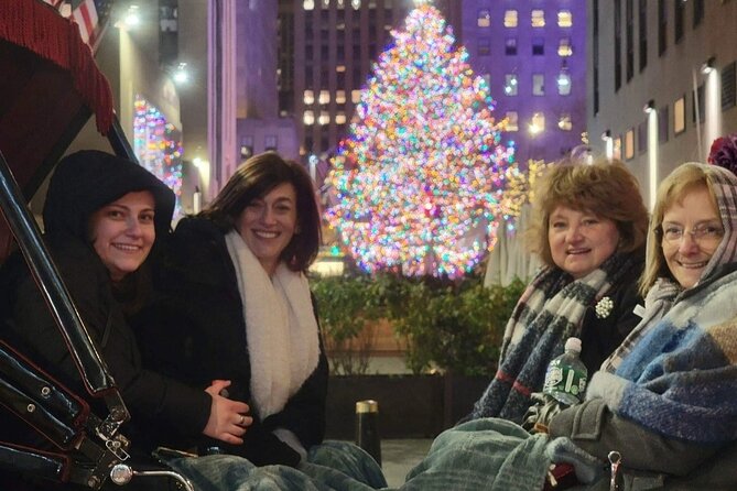 New York City Christmas Lights Private Horse Carriage Ride - Along 5th Avenue, where the decorations take over