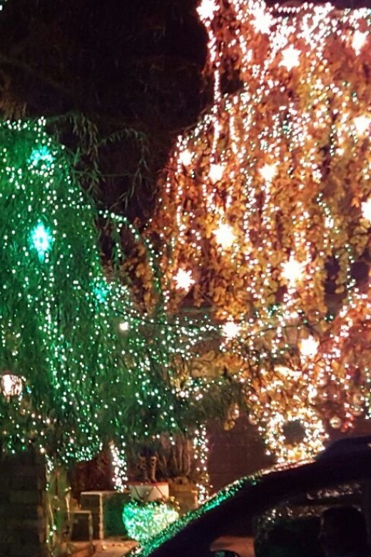 New York City: Dyker Heights Christmas Lights Tour - Bay Ridge adds a second Brooklyn view