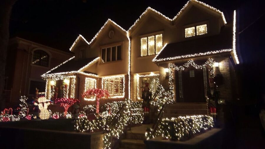 New York City: Dyker Heights Christmas Lights Tour - Guides, drivers, and the feel of the ride