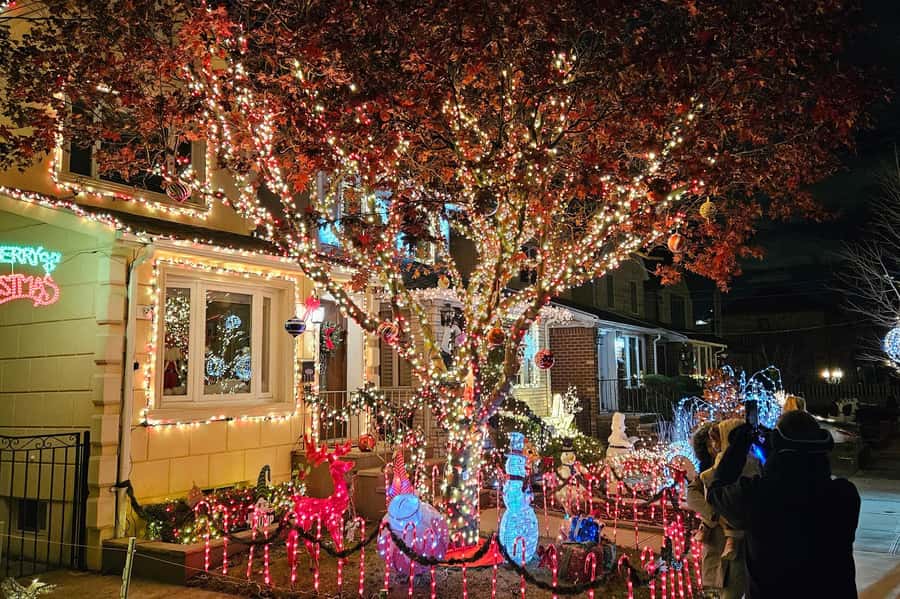 New York: Dyker Heights Christmas Lights Guided Walking Tour - Crowds and group control are the main weak spot
