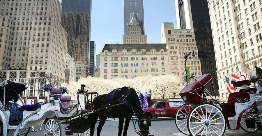 NYC: Central Park Christmas Lights Horse-Drawn Carriage Ride - Key points to know before booking