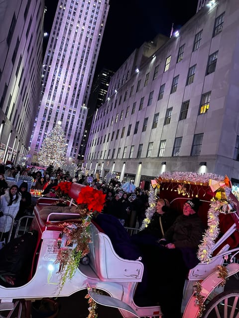 NYC: Christmas Lights Horse Carriage Ride - Fifth Avenue brings the main event