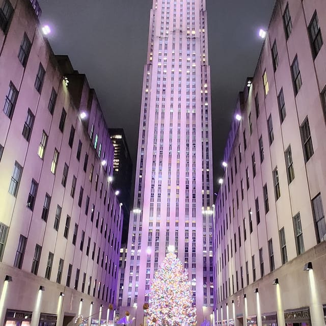 NYC: Christmas Lights Horse Carriage Ride - The Plaza Hotel and the first city views
