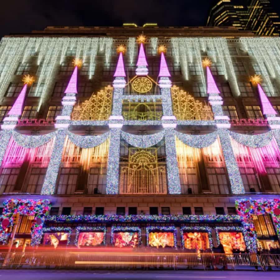 NYC Christmas Lights Tour: Heated Rickshaw Ride - Who will get the most from this tour