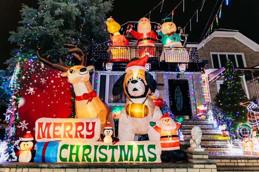 NYC: Dyker Heights Christmas Lights & Skyline View Bus Tour - Who will enjoy this evening most?