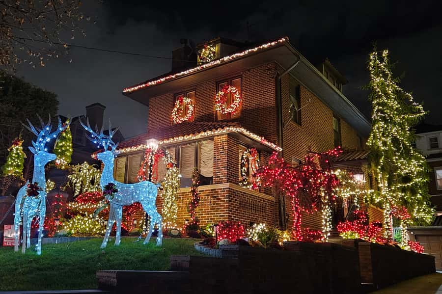 NYC: Dyker Heights Christmas Lights Tour with Hot Cocoa - Who Will Enjoy This Most?
