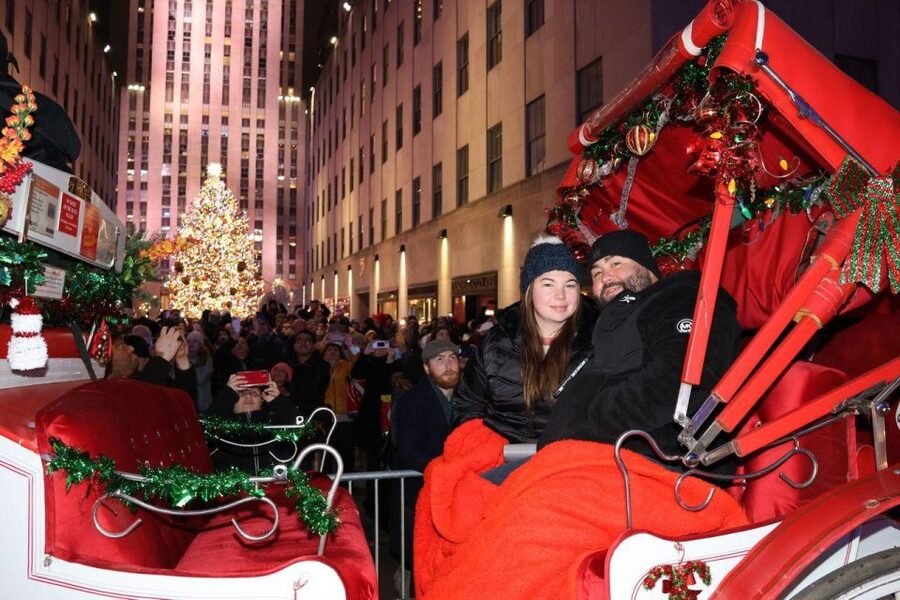 NYC: Magical Christmas Lights Carriage Ride - Practical details before you reserve