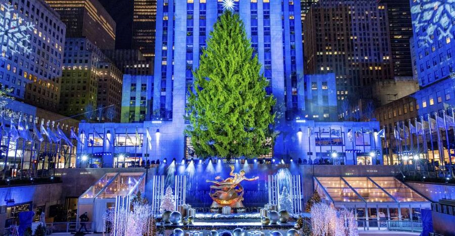NYC: Magical Christmas Lights Carriage Ride - Starting beside Central Park South