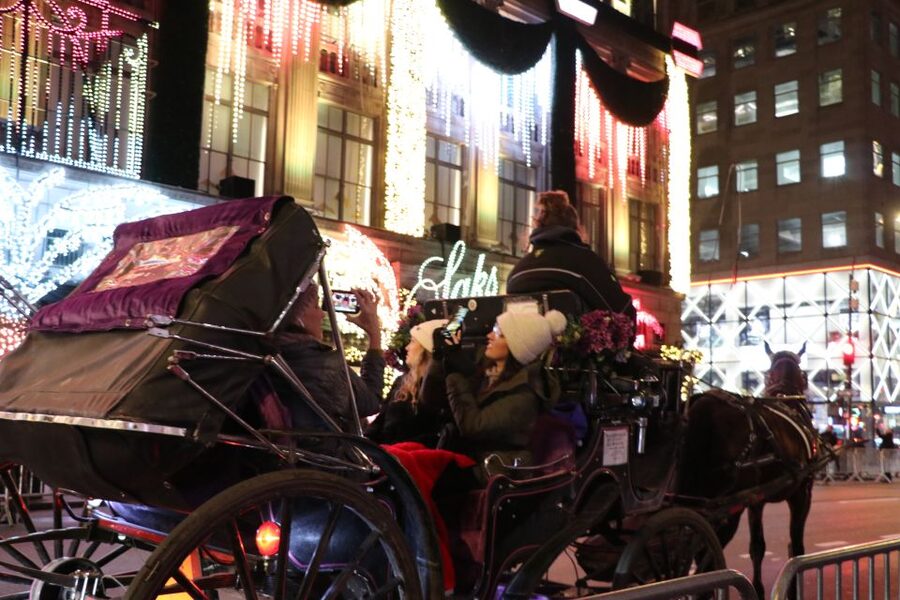NYC: Magical Christmas Lights Carriage Ride - Why the 45-minute length works