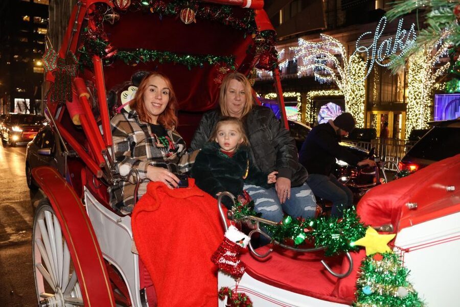NYC: Magical Christmas Lights Carriage Ride - Is $415 good value for four people?